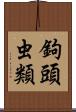 鉤頭虫類 Scroll