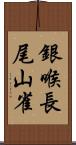 銀喉長尾山雀 Scroll