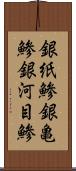 銀紙鯵 Scroll