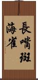 長嘴斑海雀 Scroll