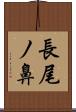 長尾ノ鼻 Scroll