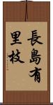 長島有里枝 Scroll