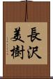 長沢美樹 Scroll