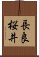 長良桜井 Scroll
