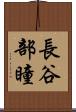 長谷部瞳 Scroll