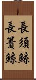 長須鯨 Scroll