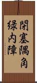 閉塞隅角緑内障 Scroll