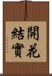開花結實 Scroll