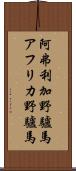 阿弗利加野驢馬 Scroll