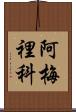 Americo Scroll