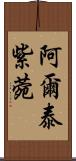 阿爾泰紫菀 Scroll