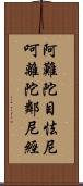 阿難陀目怯尼呵離陀鄰尼經 Scroll