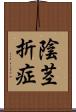 陰茎折症 Scroll