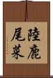 陸鹿尾菜 Scroll