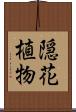隠花植物 Scroll