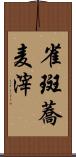 雀斑 Scroll