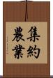 集約農業 Scroll