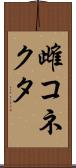 雌コネクタ Scroll