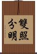 雙照分明 Scroll