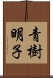 青樹明子 Scroll