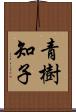 青樹知子 Scroll