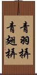 青羽挵 Scroll