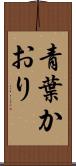 青葉かおり Scroll