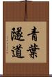 青葉隧道 Scroll