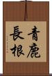 青鹿長根 Scroll