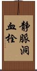 静脈洞血栓 Scroll