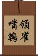 領雀嘴鵯 Scroll