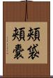 頬袋 Scroll