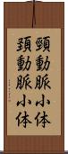 頸動脈小体 Scroll