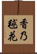 香乃毬花 Scroll