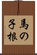 馬の子根 Scroll