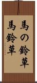 馬の鈴草 Scroll