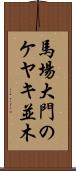 馬場大門のケヤキ並木 Scroll