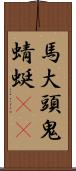 馬大頭 Scroll