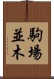 駒場並木 Scroll