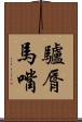 驢脣馬嘴 Scroll