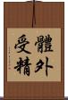 體外受精 Scroll