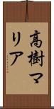 高樹マリア Scroll