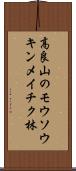 高良山のモウソウキンメイチク林 Scroll