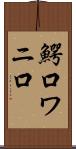鰐口 Scroll