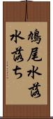 鳩尾 Scroll
