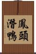 鳳頭潛鴨 Scroll