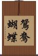 鴛鴦蝴蝶 Scroll