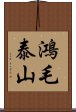 鴻毛泰山 Scroll