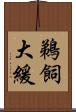 鵜飼大緩 Scroll