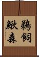 鵜飼鰍森 Scroll